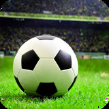 XW781:COM-WWW:XW781:COM